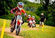 Einfacher Einstieg in MX