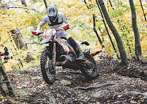 X-GRIP KING KONG STICKY - Neuer Hard Enduro Hinterreifen für maximale Traktion im Extrembereich