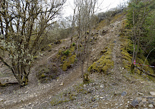 AUNER HardEnduroSeries Germany: Blick auf Kronach und Reisersberg – Nennungsstart für die nächsten Läufe terminiert